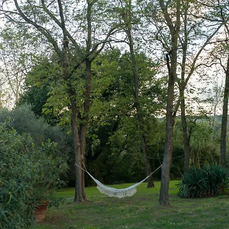 Podere Dolce Sonno - Casolare Toscano Ferienhaus Montescudaio
